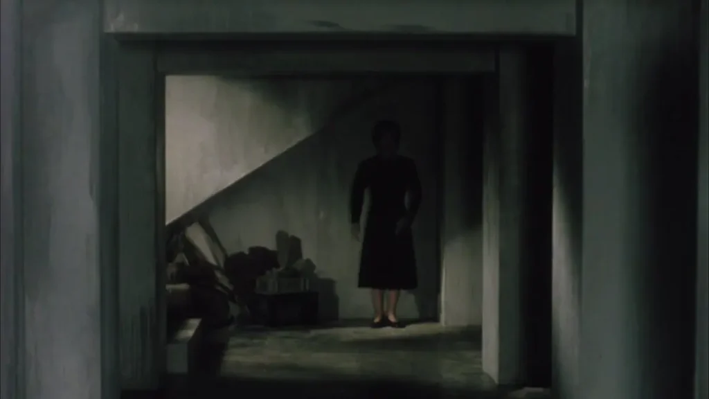 l'image est sombre, cela se situe dans un vieux appartement, une femme à l'allure étrange semble tout droit sortit du mur devant l'objectif et marche bizarrement devant nous.